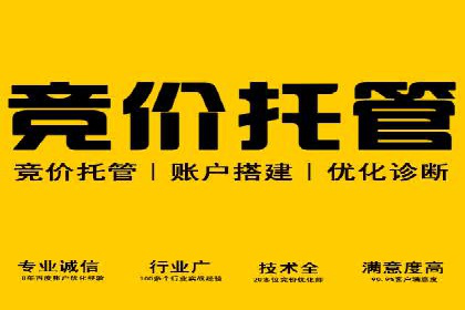 SEM推广实战：案例分析与优化